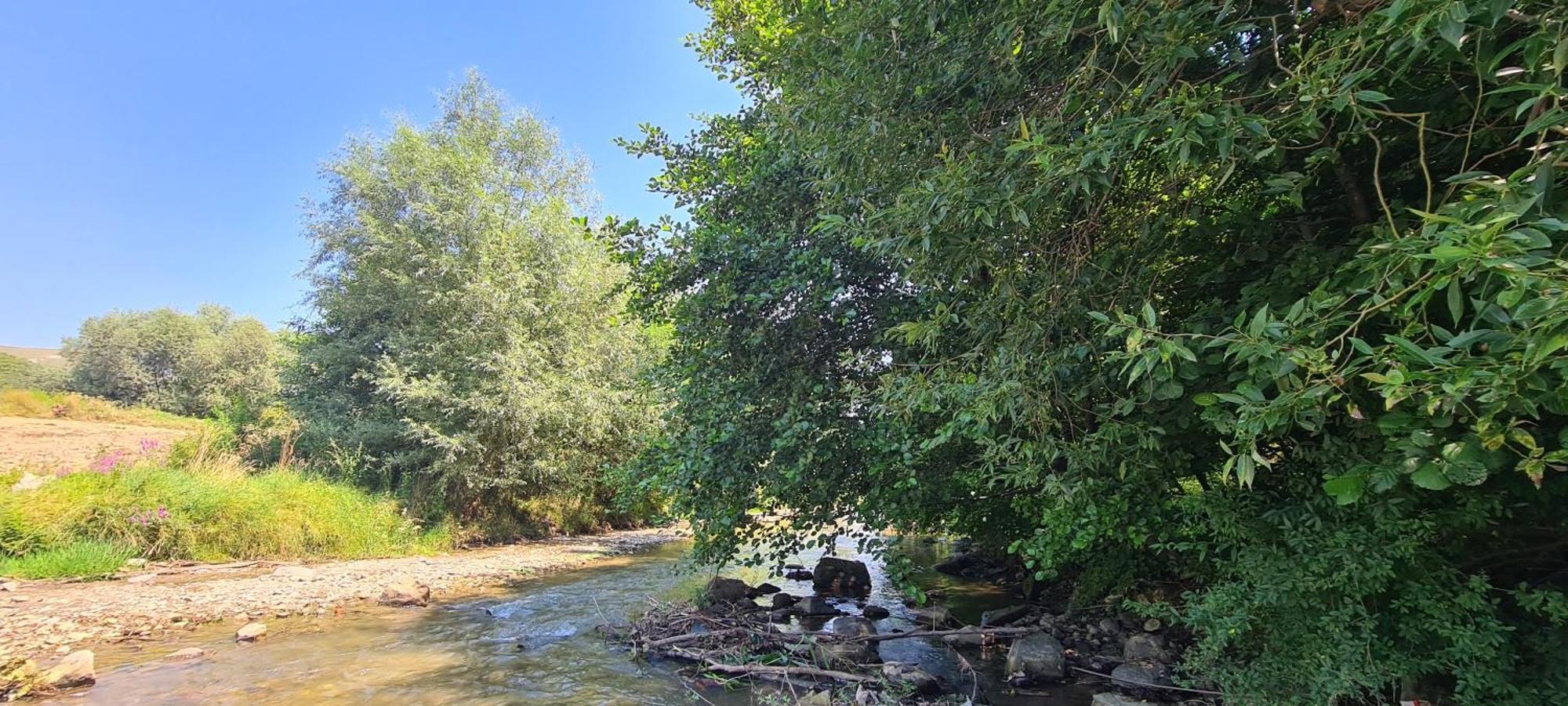 فيلا Casa Beth Shalom Sard المظهر الخارجي الصورة